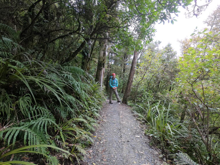 Bettina Kunze beim wandern durch einen Wald